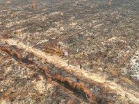 KLH/BPLH Terjunkan Ratusan Pengawas Usut Empat Puluh Dua Perusahaan Terduga Pembakar Lahan di Sumatera dan Kalimantan. (Dok. Kementerian KLH/BPLH)