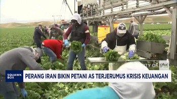 Perang Iran Bikin Petani AS Terjerumus Krisis Keuangan