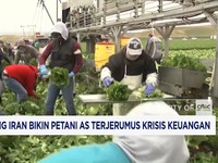 Perang Iran Bikin Petani AS Terjerumus Krisis Keuangan