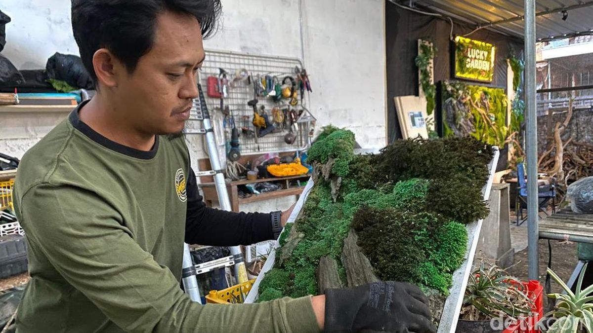 Kreativitas Warga Kota Batu Olah Lumut Jadi Karya Seni Estetik