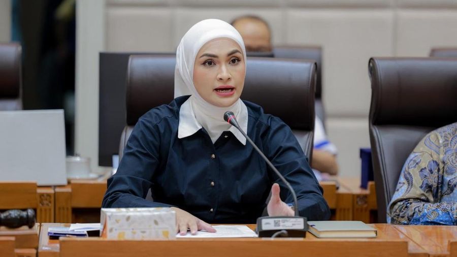 Wakil Ketua Komisi XII DPR RI dari Fraksi PAN, Putri Zulkifli Hasan. (Istimewa)