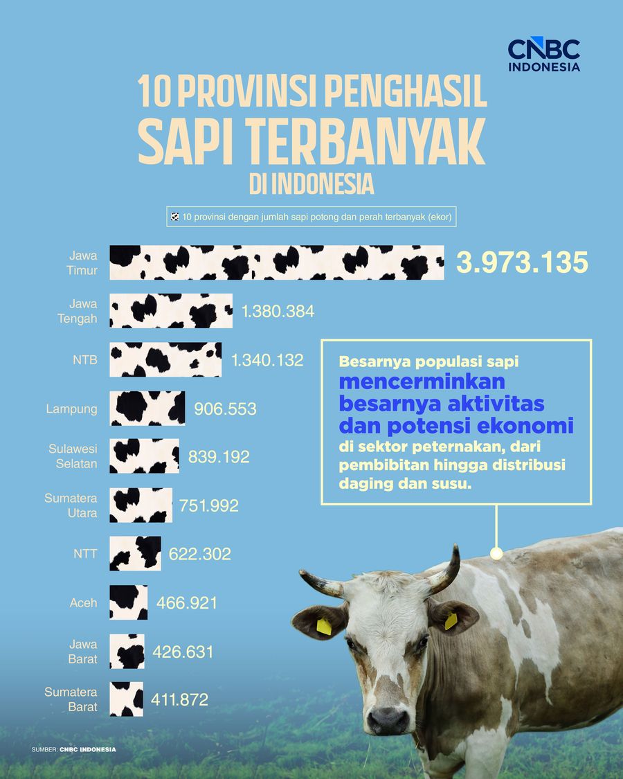Infografis/ 10 Provinsi Penghasil Sapi Terbanyak di Indonesia, Siapa Lawan Jatim?/ Ilham Restu