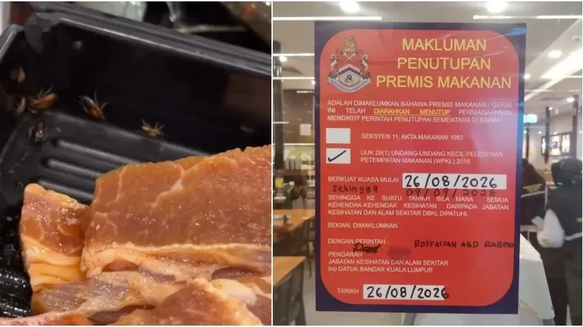 Apes! Lagi Asyik Makan Hotpot, Pelanggan Syok Temukan Kecoa di Daging