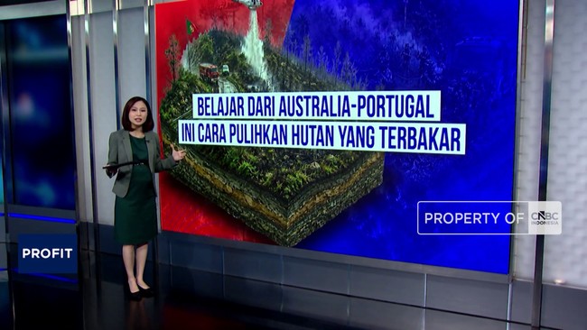 Video: Belajar Dari Australia-Portugal Cara Pulihkan Hutan Terbakar
