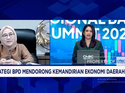 Cetak Laba Rp 133 Miliar di H1-2026, Bank Lampung Punya Jurus Ini