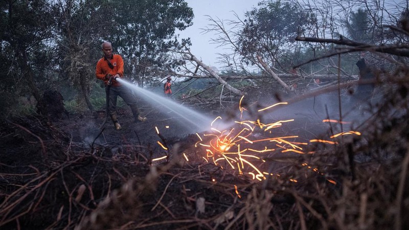 Judan, seorang petugas Badan Penanggulangan Bencana Daerah (BPBD) berusia 51 tahun, menyemprotkan air untuk memadamkan api di lahan gambut yang terbakar akibat kebakaran hutan dan lahan di Kubu Raya, Provinsi Kalimantan Barat, Indonesia, pada 27 Agustus 2026.