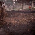 Judan, seorang petugas Badan Penanggulangan Bencana Daerah (BPBD) berusia 51 tahun, menyemprotkan air untuk memadamkan api di lahan gambut yang terbakar akibat kebakaran hutan dan lahan di Kubu Raya, Provinsi Kalimantan Barat, Indonesia, pada 27 Agus