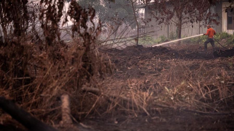 Judan, seorang petugas Badan Penanggulangan Bencana Daerah (BPBD) berusia 51 tahun, menyemprotkan air untuk memadamkan api di lahan gambut yang terbakar akibat kebakaran hutan dan lahan di Kubu Raya, Provinsi Kalimantan Barat, Indonesia, pada 27 Agustus 2026.