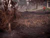 Judan, seorang petugas Badan Penanggulangan Bencana Daerah (BPBD) berusia 51 tahun, menyemprotkan air untuk memadamkan api di lahan gambut yang terbakar akibat kebakaran hutan dan lahan di Kubu Raya, Provinsi Kalimantan Barat, Indonesia, pada 27 Agus