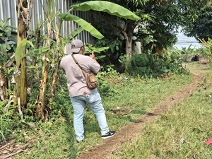 Pria Tewas di Kebun Bogor Ternyata Korban Tawuran, 1 Pelaku Ditangkap