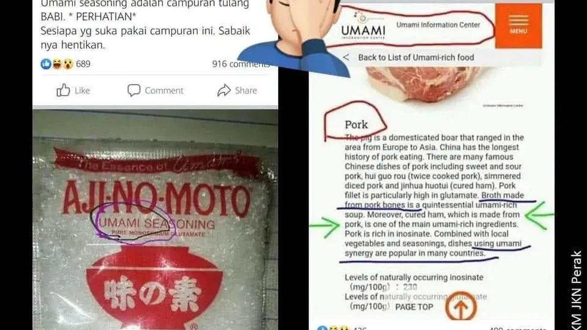 Heboh MSG di Malaysia Disebut Mengandung Babi, Pemerintah Beri Klarifikasi