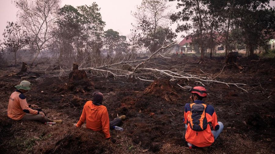 Petugas Badan Penanggulangan Bencana Daerah (BPBD) beristirahat setelah memadamkan kebakaran di kawasan lahan gambut yang terbakar akibat kebakaran hutan dan lahan di Kubu Raya, Provinsi Kalimantan Barat, Indonesia, pada 27 Agustus 2026.