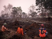 Petugas Badan Penanggulangan Bencana Daerah (BPBD) beristirahat setelah memadamkan kebakaran di kawasan lahan gambut yang terbakar akibat kebakaran hutan dan lahan di Kubu Raya, Provinsi Kalimantan Barat, Indonesia, pada 27 Agustus 2026. (REUTERS/Wil