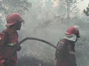 Hutan Lindung Gambut Londerang Jambi Terbakar, Petugas Lakukan Pemadaman