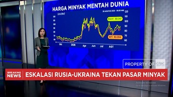 Rusia-Ukraina Memanas, Harga Minyak - Batu Bara Meroket