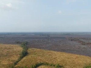 3 Titik Baru Kebakaran Way Kambas Padam, Lahan Terbakar 912,49 Hektare