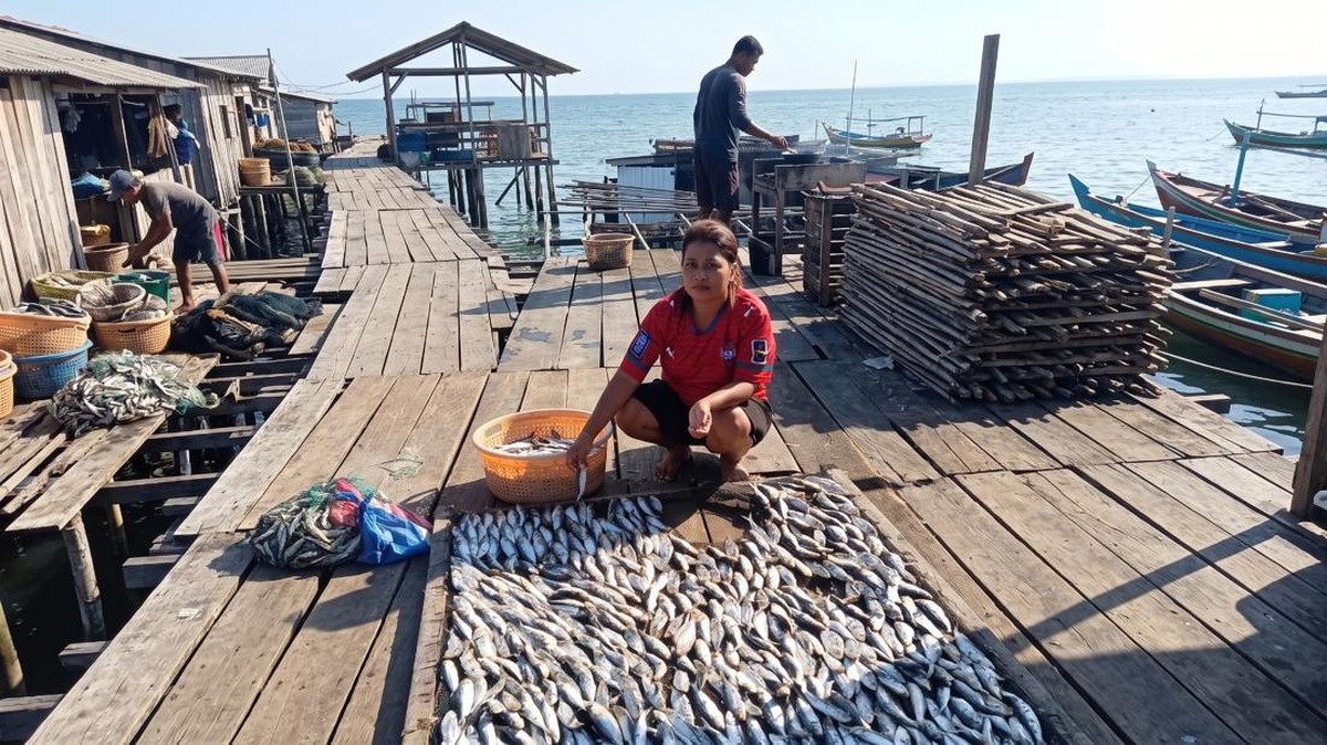 Lewat Program Ini, BRI Dorong Pengusaha Ikan Kering Sorong Naik Kelas