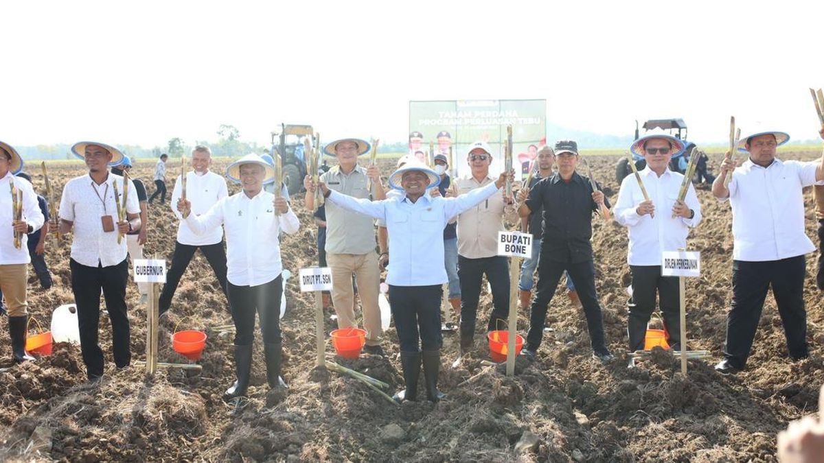 Bupati Andi Asman Siapkan 1.500 Hektare Lahan Jadikan Bone Lumbung Tebu
