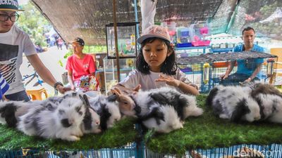 Serunya Melihat dan Memberi Makan Hewan di Flona 2026