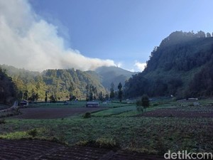 Semeru Ditutup Total gegara Karhutla, 1.235 Pendaki Gagal Mendaki