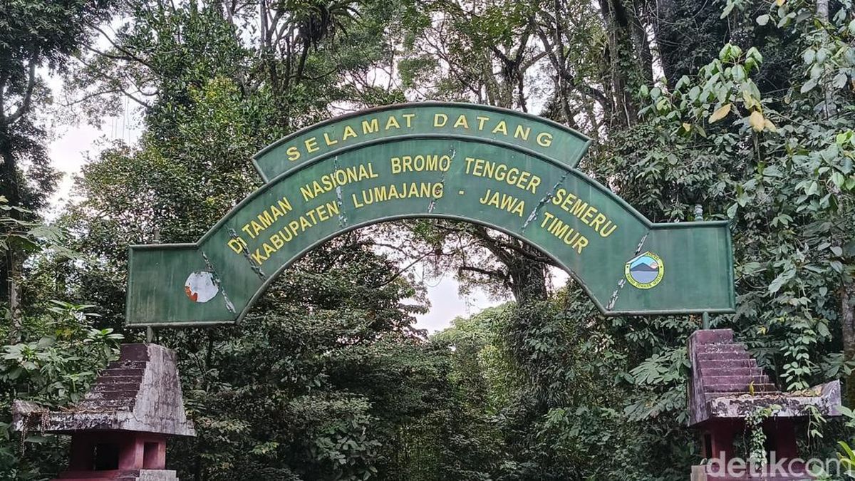 Potret Asap Membumbung di TNBTS, Pendakian Semeru Masih Ditutup