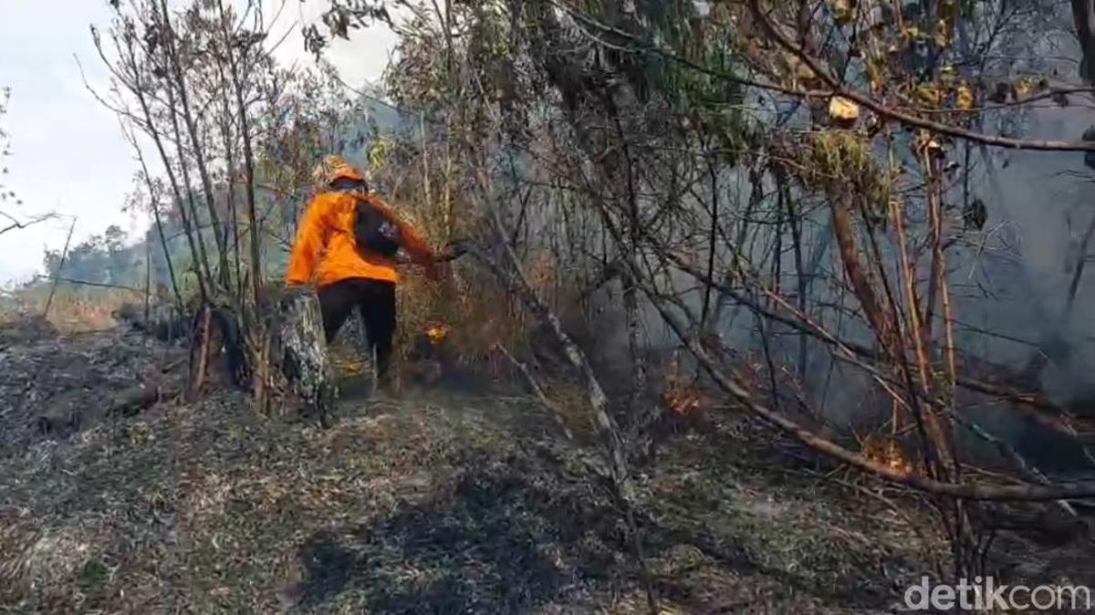 Kebakaran TNBTS Lumajang Belum Padam, Sumber Air Berjarak 3 Km