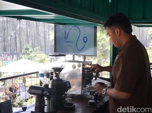 Sensasi Menyeruput Kopi di Tengah Sejuknya Hutan Pinus Bandung Utara