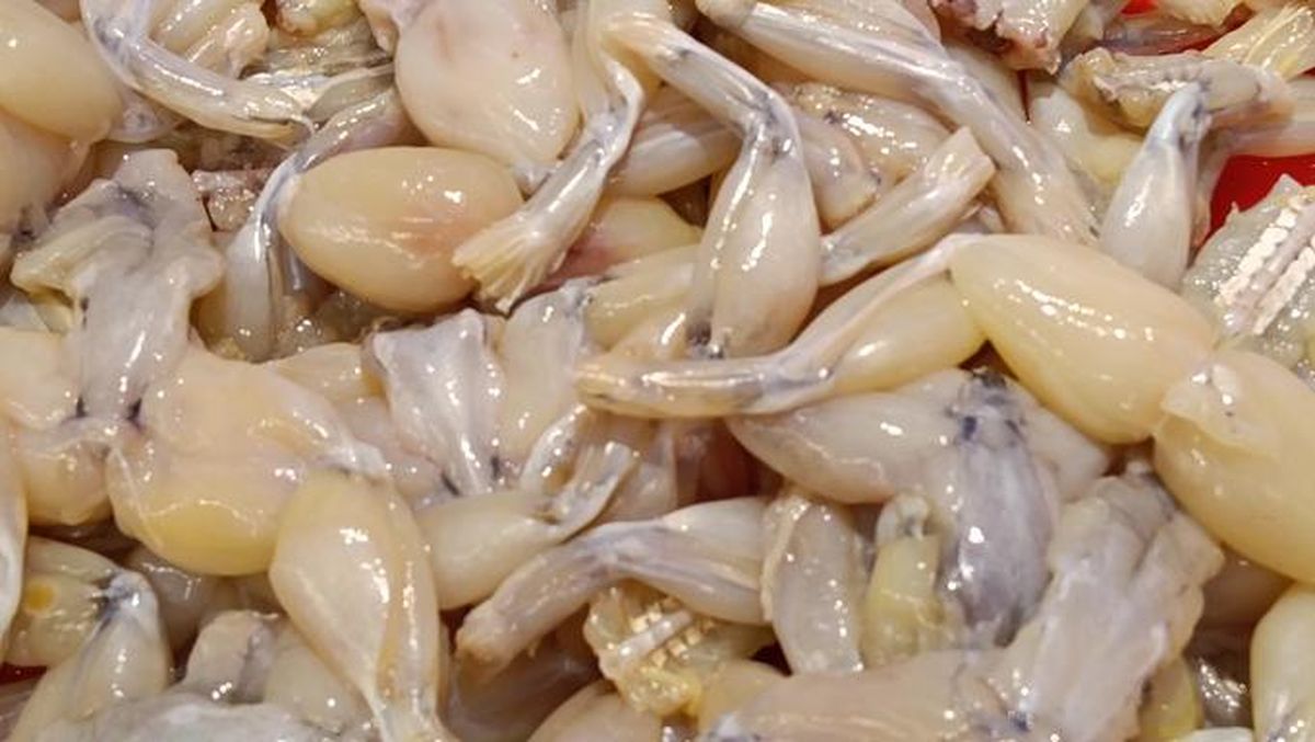 Bikin Heboh! Daging Kodok Dijual di Supermarket dengan Label Halal MUI