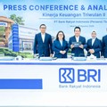 Dok BRI