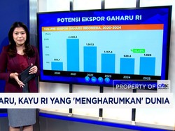 Gaharu, Kayu RI yang 'Mengharumkan' Dunia