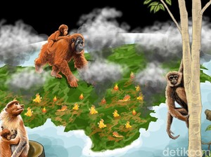 Malapetaka Karhutla di Pulau Paru-paru Dunia
