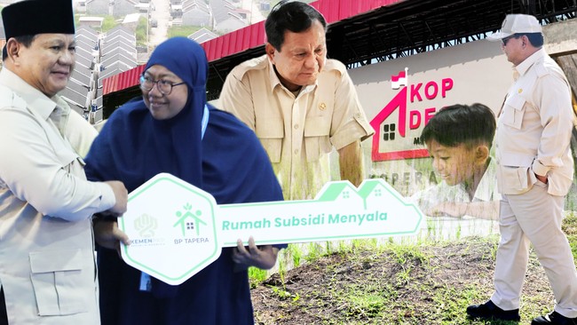 Daftar Lengkap Prioritas Prabowo 2027, dari MBG sampai Giant Sea Wall