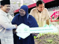 Daftar Lengkap Prioritas Prabowo 2027, dari MBG sampai Giant Sea Wall
