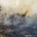 Kebakaran di Ranu Kembar, Semeru. (Dok.detikcom)