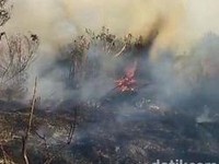 Kebakaran di Ranu Kembar, Semeru. (Dok.detikcom)