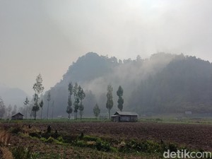 Water Bombing Dihentikan, Karhutla TNBTS Dipadamkan Manual