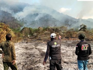 50 Hektare Lahan di Luwu Terbakar, Api Sudah Sebulan Belum Padam