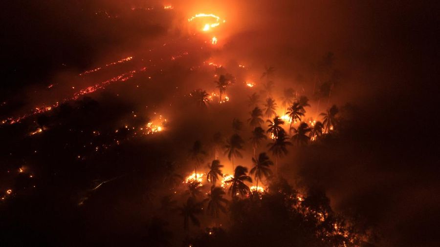 A drone view shows wildfires burning an area in Sungai Putri, West Kalimantan province, Indonesia, August 29, 2026. REUTERS/Willy Kurniawan