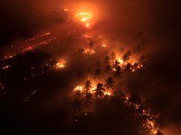A drone view shows wildfires burning an area in Sungai Putri, West Kalimantan province, Indonesia, August 29, 2026. REUTERS/Willy Kurniawan