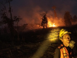 Kadinkes di Kalteng soal Bocah Meninggal: Tak Serta Merta karena Asap Lalu ISPA