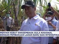 Mentan Kebut Swasembada Gula Nasional dengan Pembukaan Lahan Baru