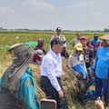Menteri Pertanian sekaligus Kepala Bapanas Amran Sulaiman saat melakukan inspeksi mendadak (Sidak) di Kabupaten Karawang, Jawa Barat, Senin (31/8/2026). (CNBC Indonesia/Martyasari Rizky)