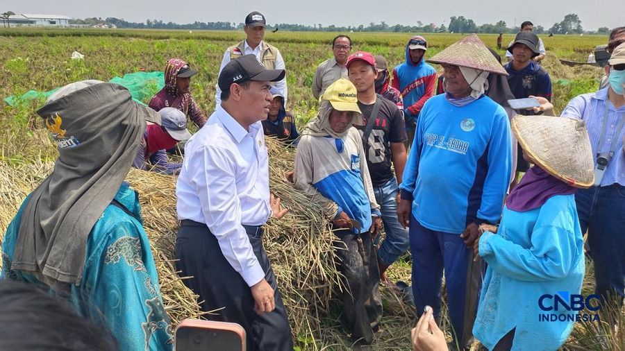 Menteri Pertanian sekaligus Kepala Bapanas Amran Sulaiman saat melakukan inspeksi mendadak (Sidak) di Kabupaten Karawang, Jawa Barat, Senin (31/8/2026). (CNBC Indonesia/Martyasari Rizky)