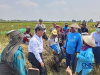 Menteri Pertanian sekaligus Kepala Bapanas Amran Sulaiman saat melakukan inspeksi mendadak (Sidak) di Kabupaten Karawang, Jawa Barat, Senin (31/8/2026). (CNBC Indonesia/Martyasari Rizky)