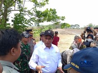 Menteri Pertanian sekaligus Kepala Bapanas Amran Sulaiman saat melakukan inspeksi mendadak (Sidak) di Kabupaten Karawang, Jawa Barat, Senin (31/8/2026). (CNBC Indonesia/Martyasari Rizky)