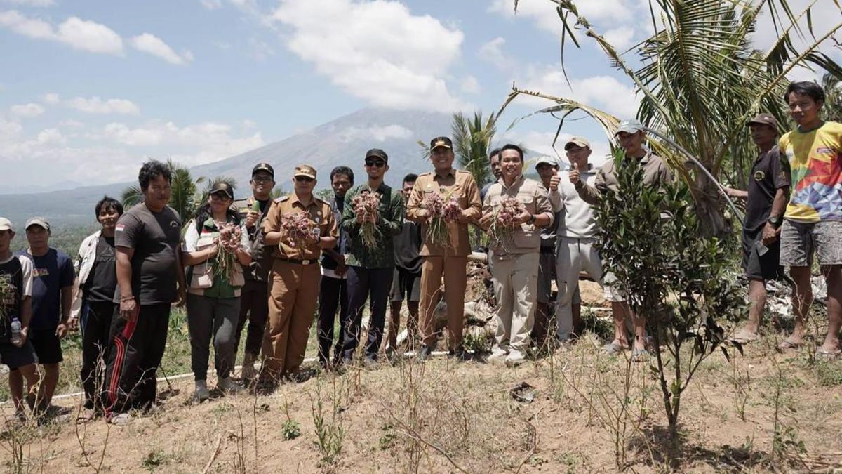 Air Mengalir, Petani Subak Abian di Karangasem Panen Bawang Saat Kemarau