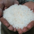 Potret Keluarga Suriah Mencari Nafkah dari Garam Gurun