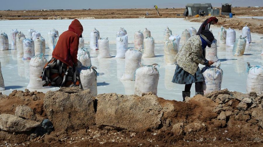 Puluhan pekerja memanen garam dari sumur air asin di gurun Sabkhat al-Muh, wilayah Palmyra, Suriah, dengan bekerja di bawah terik matahari demi upah yang tergolong kecil. (REUTERS/Karam al-Masri)