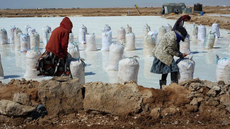 Puluhan pekerja memanen garam dari sumur air asin di gurun Sabkhat al-Muh, wilayah Palmyra, Suriah, dengan bekerja di bawah terik matahari demi upah yang tergolong kecil. (REUTERS/Karam al-Masri)