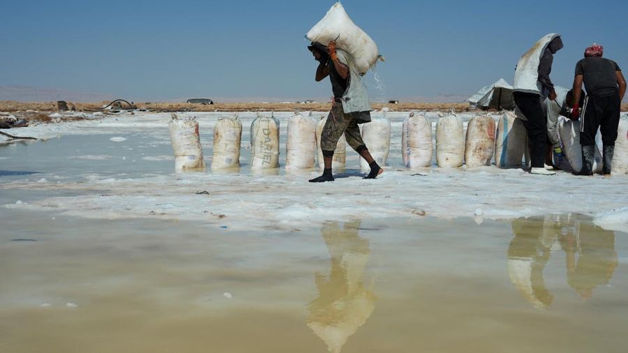 Puluhan pekerja memanen garam dari sumur air asin di gurun Sabkhat al-Muh, wilayah Palmyra, Suriah, dengan bekerja di bawah terik matahari demi upah yang tergolong kecil. (REUTERS/Karam al-Masri)